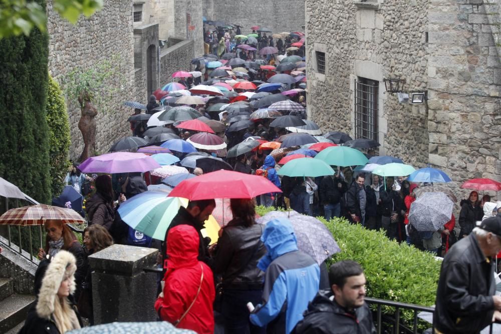 La pluja no desanima l'afluència de públic a «Temps de Flors»