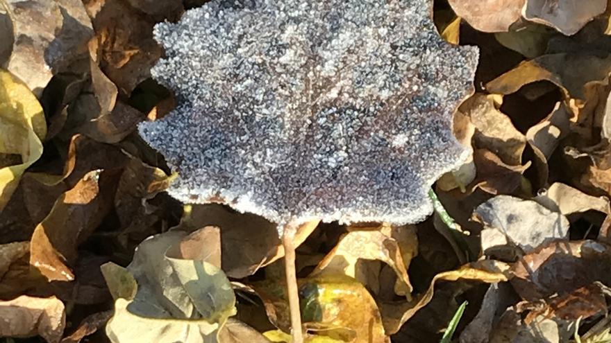 Llegan las primeras heladas del invierno a Mallorca