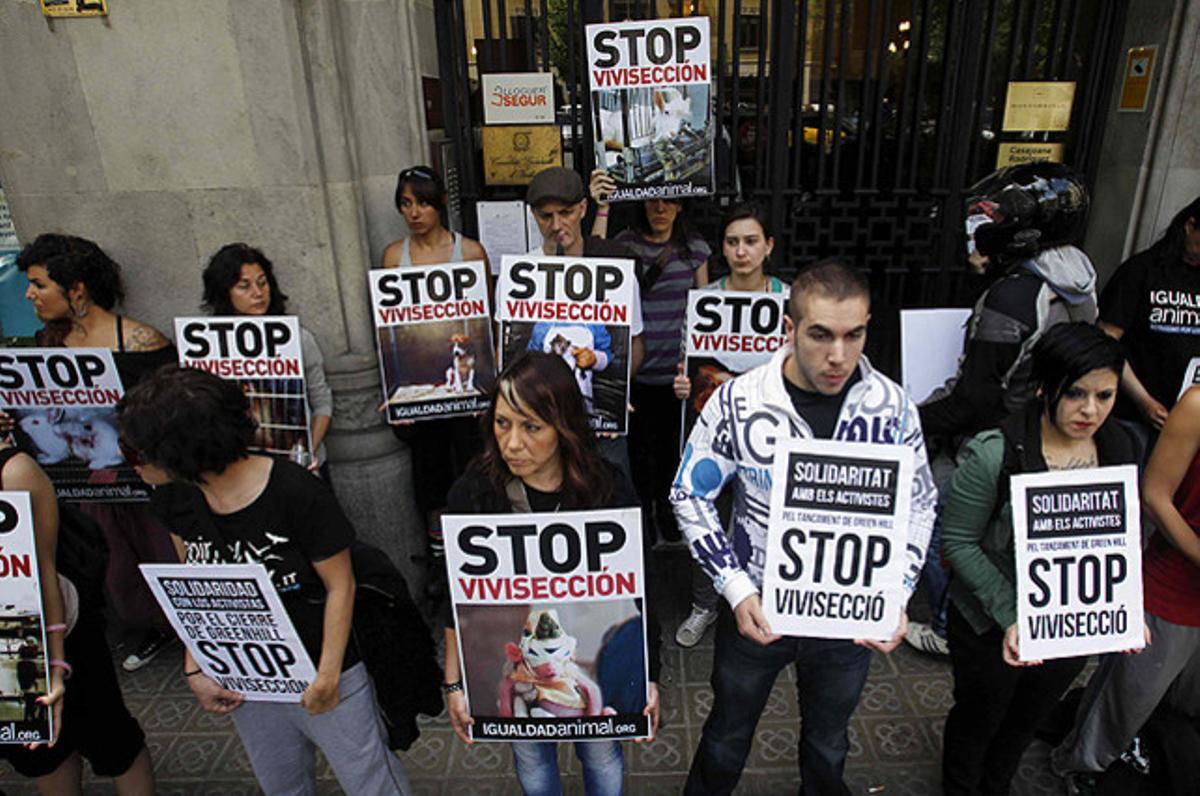 Activistes pels drets dels animals protesten davant del consolat italià de Barcelona contra lús danimals en laboratoris.