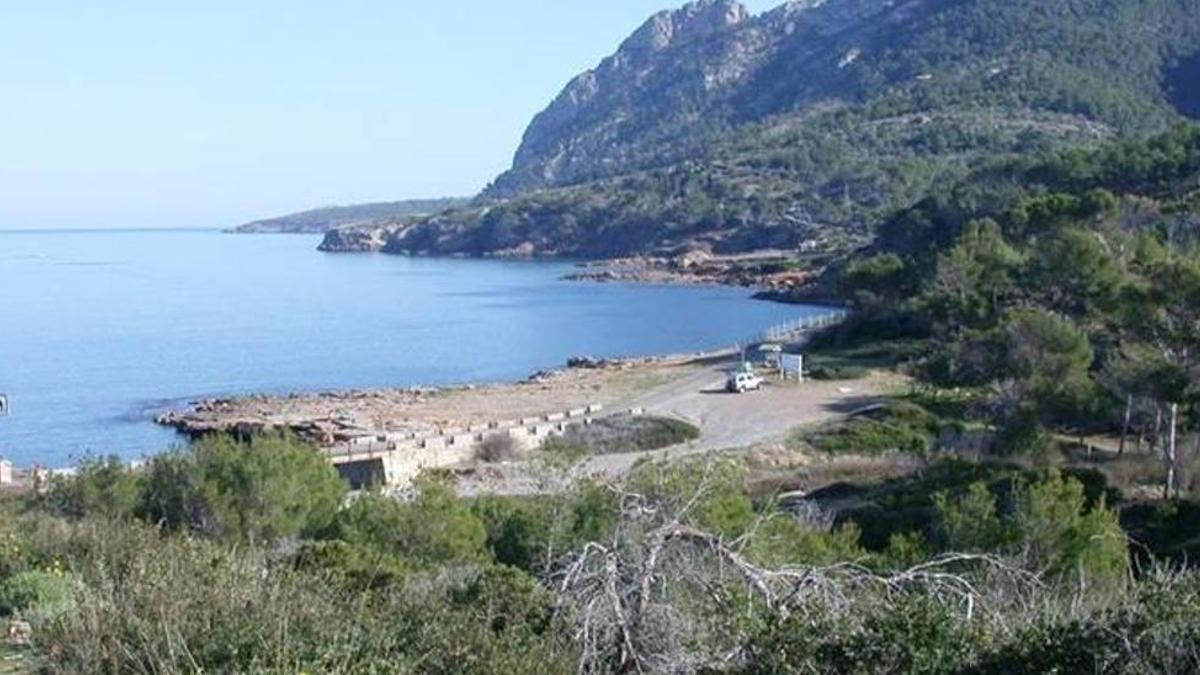 Zona de los pinares de Bonaire, en Alcúdia, donde fue hallado el cadáver el jueves por la mañana.