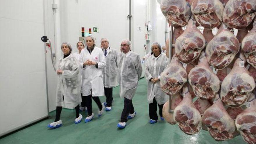 La producción de Jamón de Teruel crece un 10% en el 2019