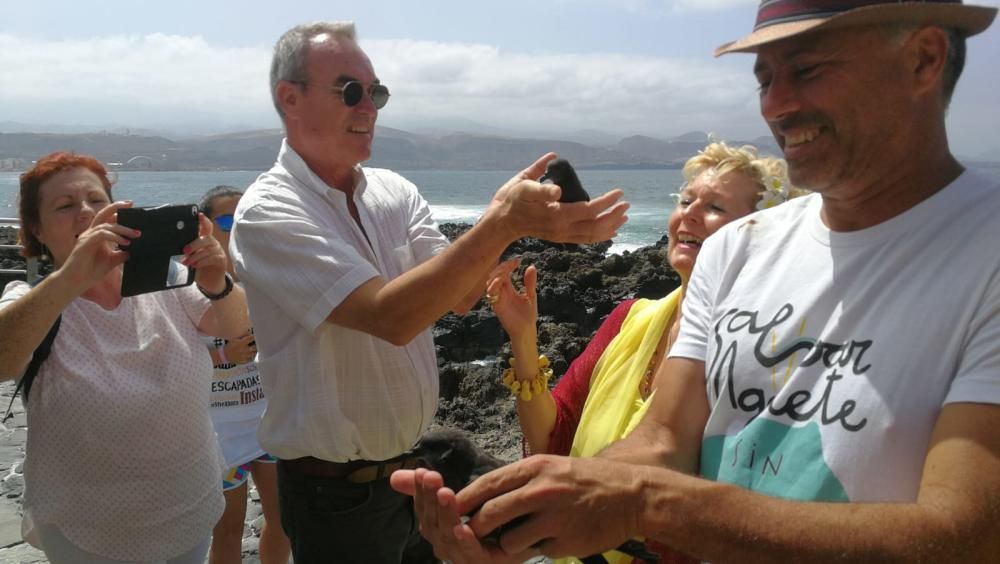 Suelta de tortugas por en Las Canteras