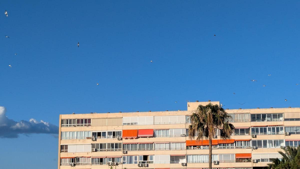 Un edificio de apartamentos de Benalmádena costa