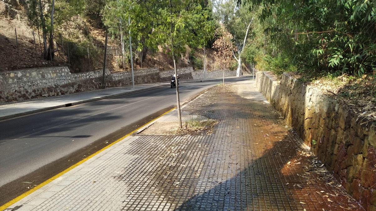 Al fondo, teñido con el color del otoño, un árbol seco exhibe las consecuencias de convivir durante dos meses con una corriente de agua posiblemente de origen fecal. Es el salidero que baja por calle Ferrándiz y que se filtra por el talud de la zona de la subida al Monte Victoria. Este es el aspecto que tenía el pasado jueves por la mañana.