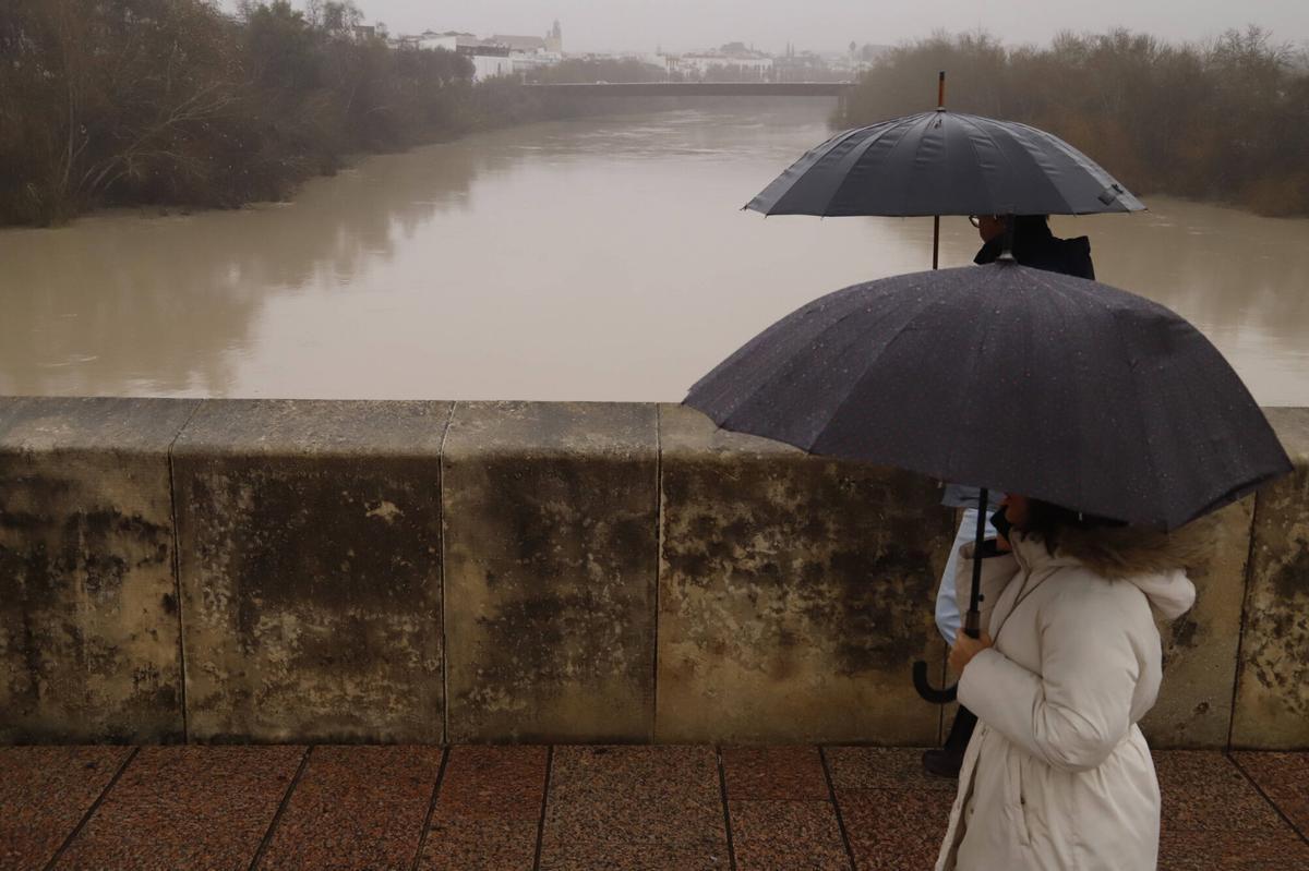 A.J.González Córdoba Lluvia Cauce del río Guadalquivir