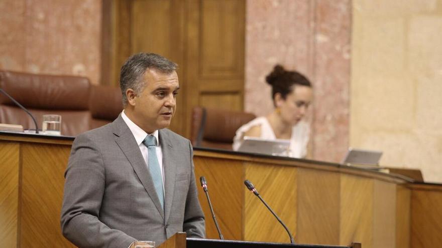 Pareja, en el Parlamento andaluz.