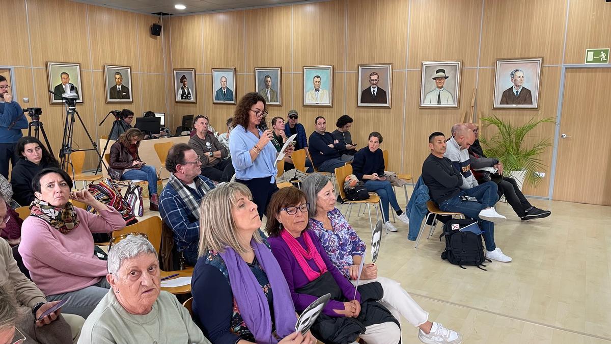María, residente en Live Ibiza, de pie con el micrófano en la mano y, sentado a su lado, Javier Gea, durante el pleno municipal de diciembre.