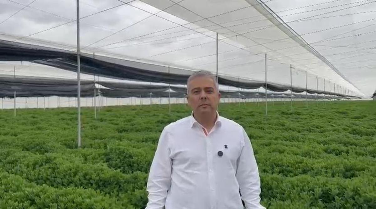 Jesús Cano, diputado del Partido Popular de la Región de Murcia