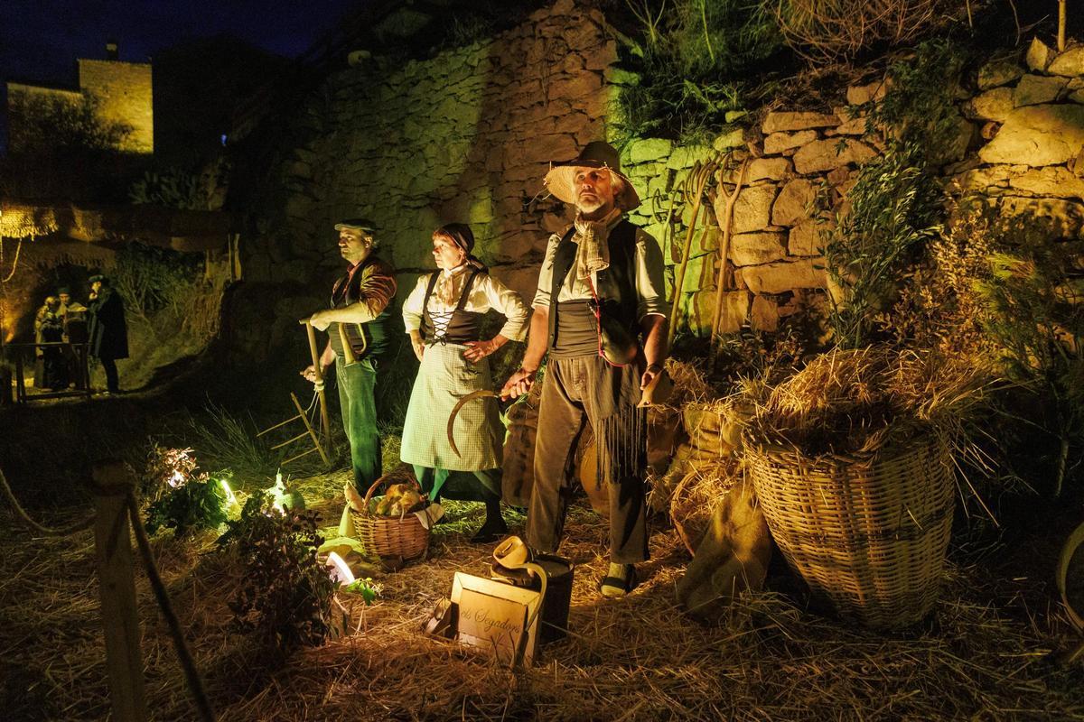 Nit Viva de Fonollosa