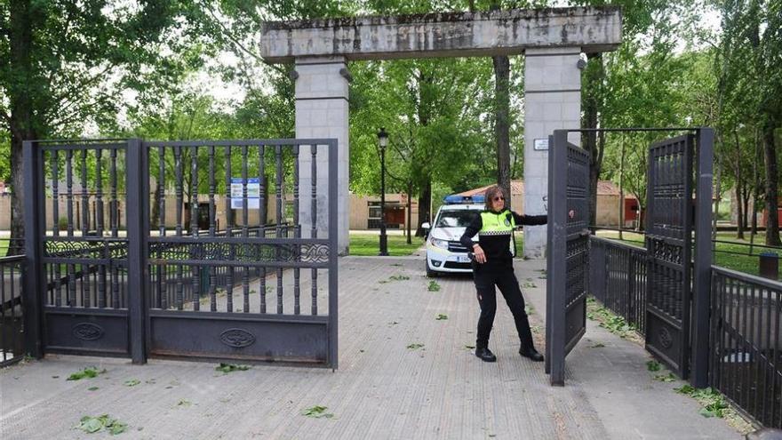 Árboles y ramas caídas y parques cerrados debido al fuerte viento en Plasencia