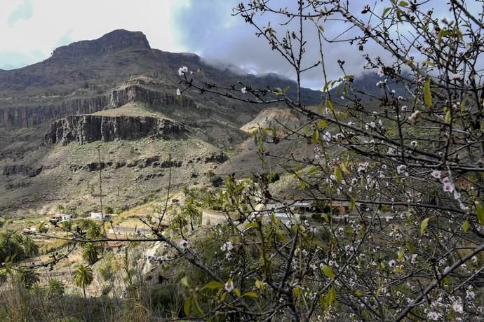 GRAN CANARIA 26-01-2019  SANTA LUCIA DE TIRAJANA-SAN BARTOLOME DE TIRAJANA. Fotos al macizo de Amurga. Fotos a los terrenos de la familia de Román comprados por el Cabildo.  FOTOS: JUAN CASTRO