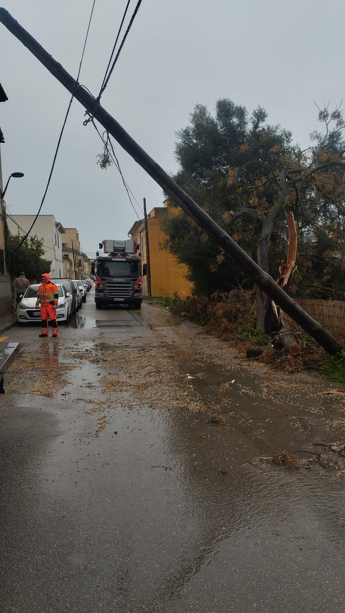 Un poste derribado en la calle Sant Jordi, en s'Arenal.