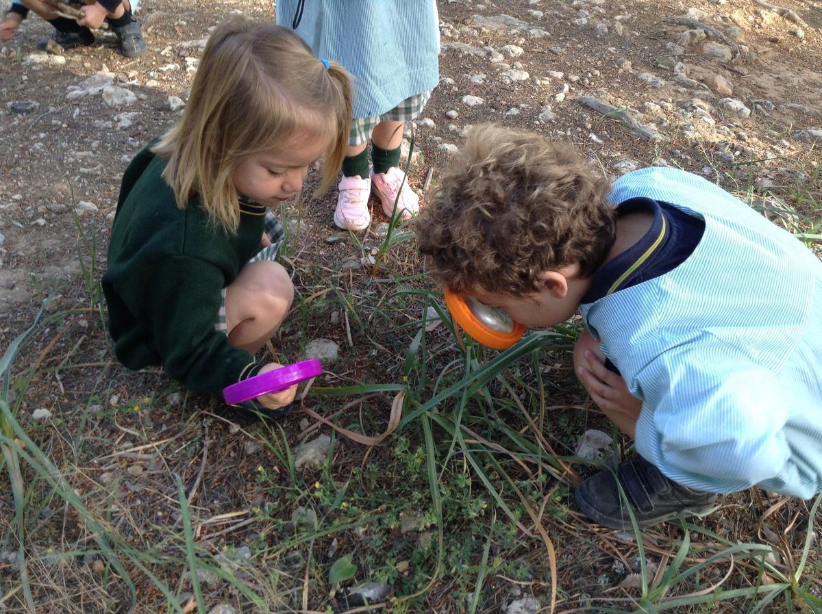 El 'outdoor learning está destinado a proporcionar experiencias educativas vivenciales.