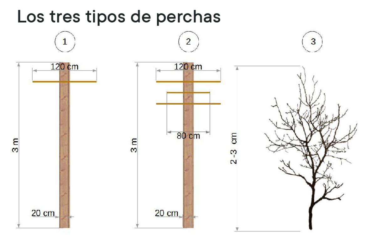 Los tres tipos de perchas.