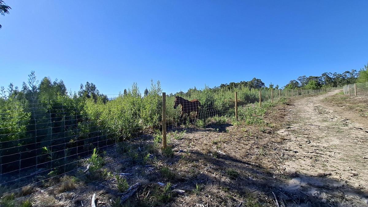 Los comuneros instalaron cierres en los montes.