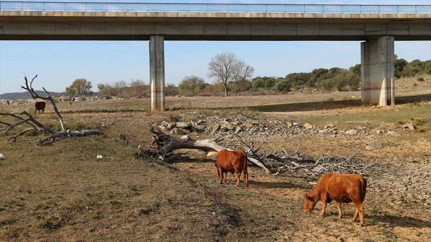 La CHG pide a los ayuntamientos extremeños tomar medidas contra la sequía