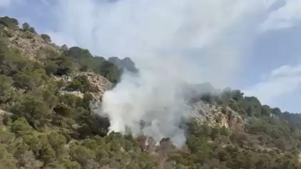 Pequeño conato de incendio en la Serra Grossa