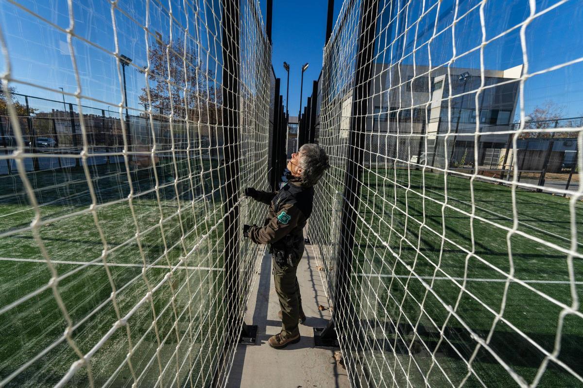 Los agentes rurales exigen a los clubes que adapten las instalaciones para evitar colisiones.