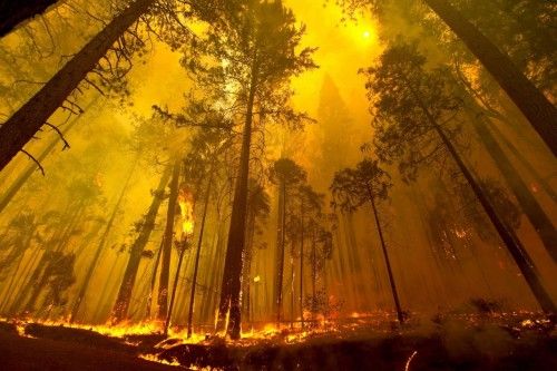 Histórico incendio en Yosemite