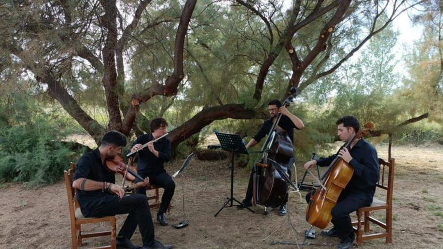 Música clásica y bandas sonoras en un lugar de ensueño. | SERVICIO ESPECIAL