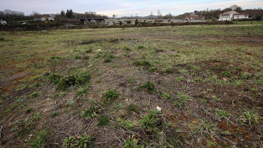 Terrenos de La Manjoya que el Real Oviedo había elegido para levantar su ciudad deportiva. | IRMA COLLÍN