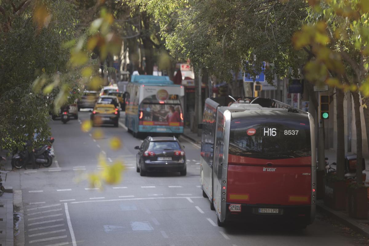 Tráfico de autobuses urbanos e interurbanos por la calle Sepúlveda