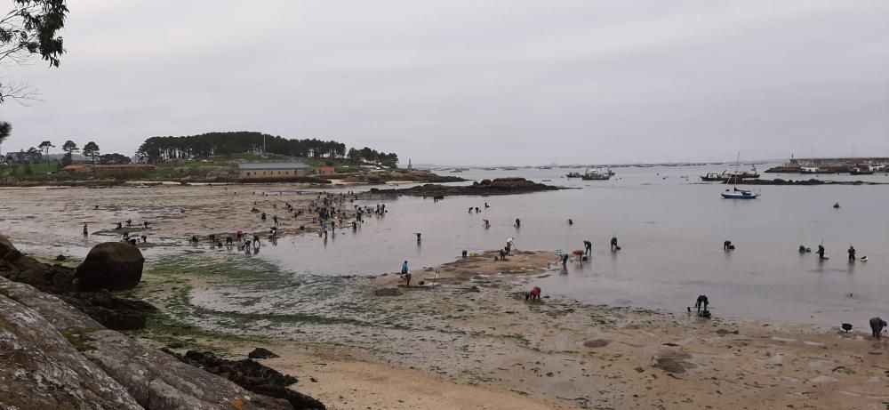 "Mareas vivas" en Galicia.