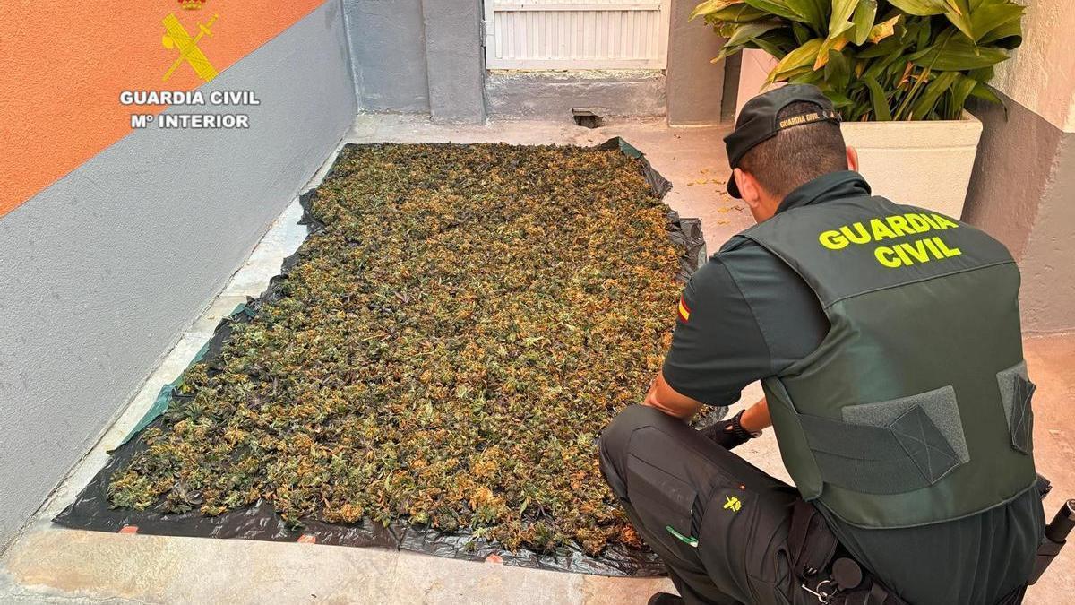 Un agente inspecciona la mercancía incautada.