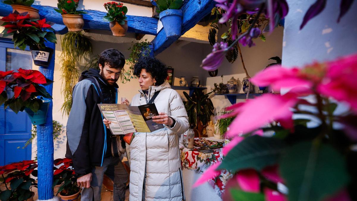 Destellos de Navidad en los Patios