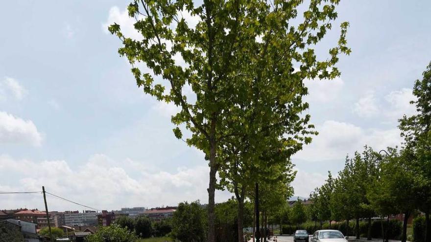 Arreglo de aceras en la calle El Vallín