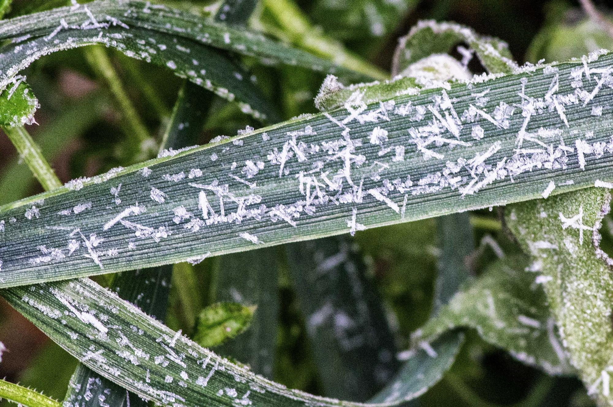 Las temperaturas mínimas se mantienen y la nieve llega a las comarcas de interior