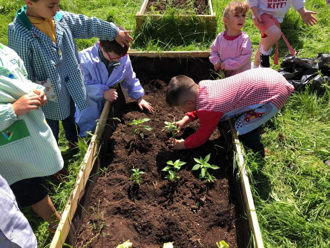 El Cotayo se vuelca con su cultivo ecológico: así trabajan los huertos en el colegio de Siero