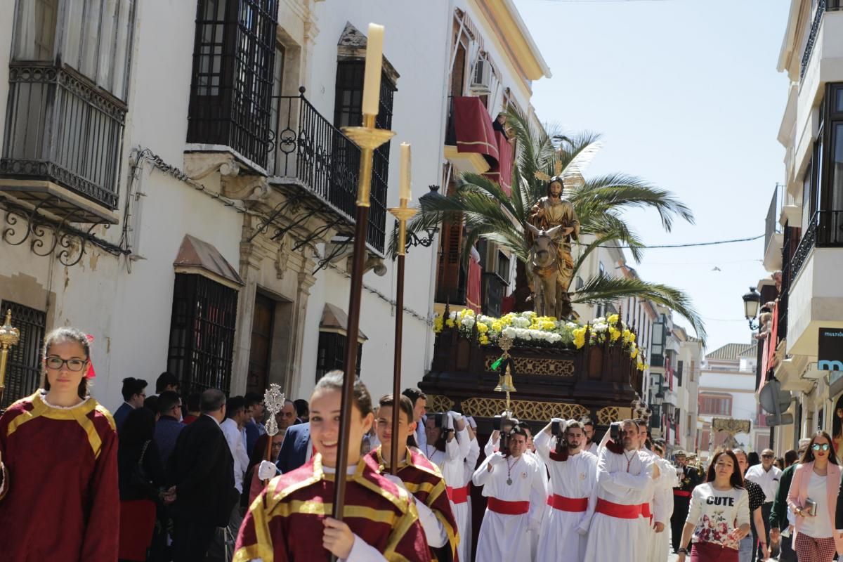 Domingo de Ramos en la provincia