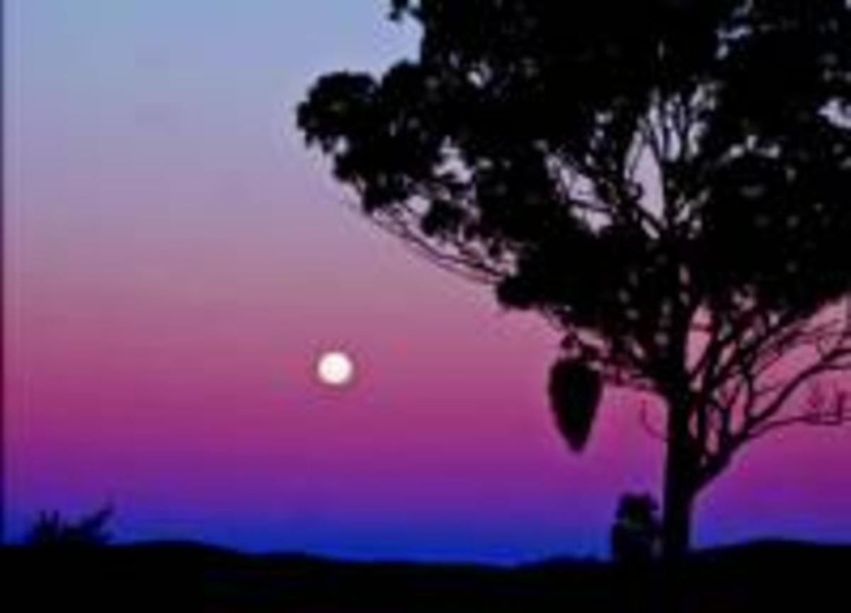 El cinturó de Venus, en una nit de lluna plena. El cinturó de Venus, en una nit de lluna plena.