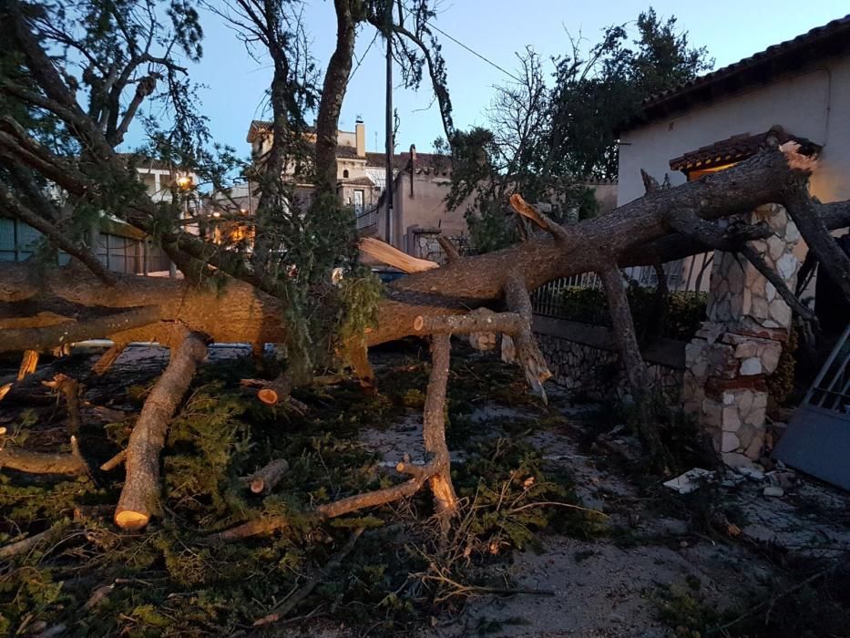 Incidències pel vent a Santa Coloma