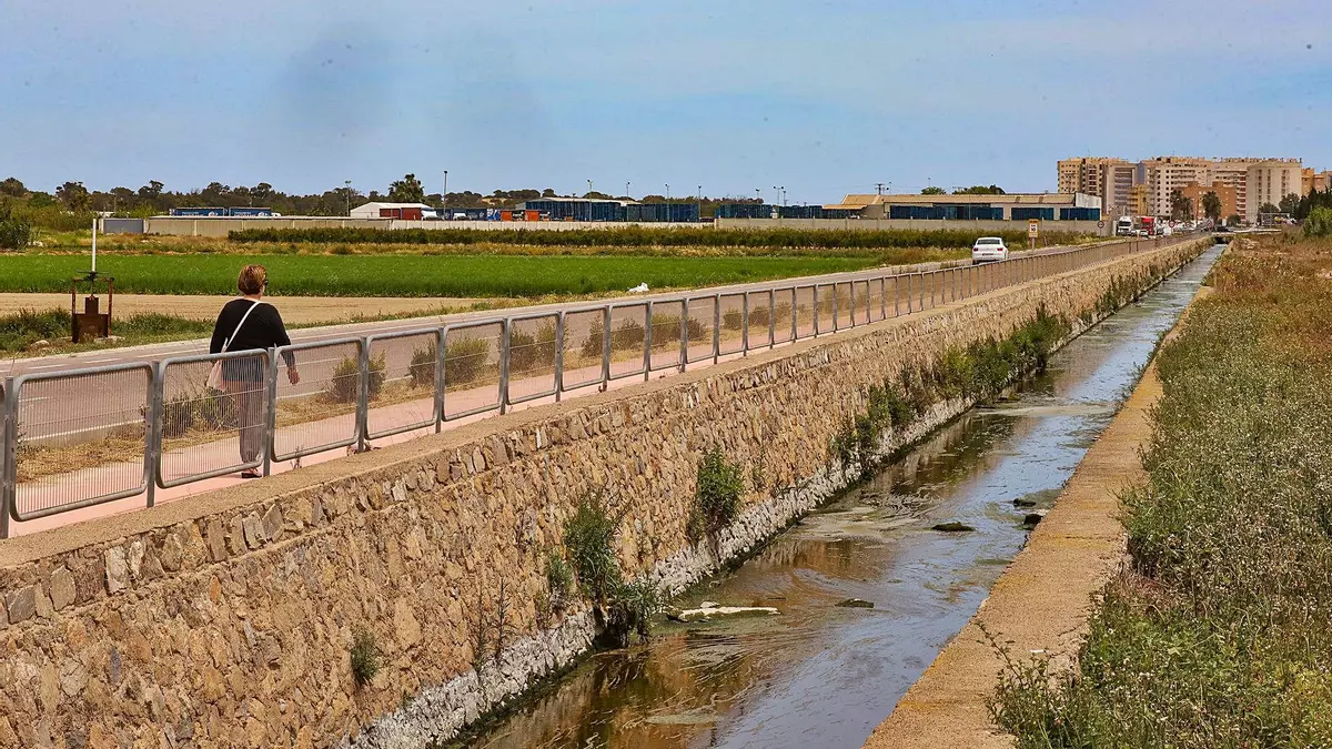 El Consell inyecta 14,3 millones de euros frente a inundaciones en la margen izquierda del río Segura