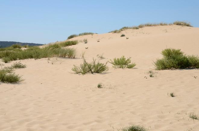 Dunas Corrubedo