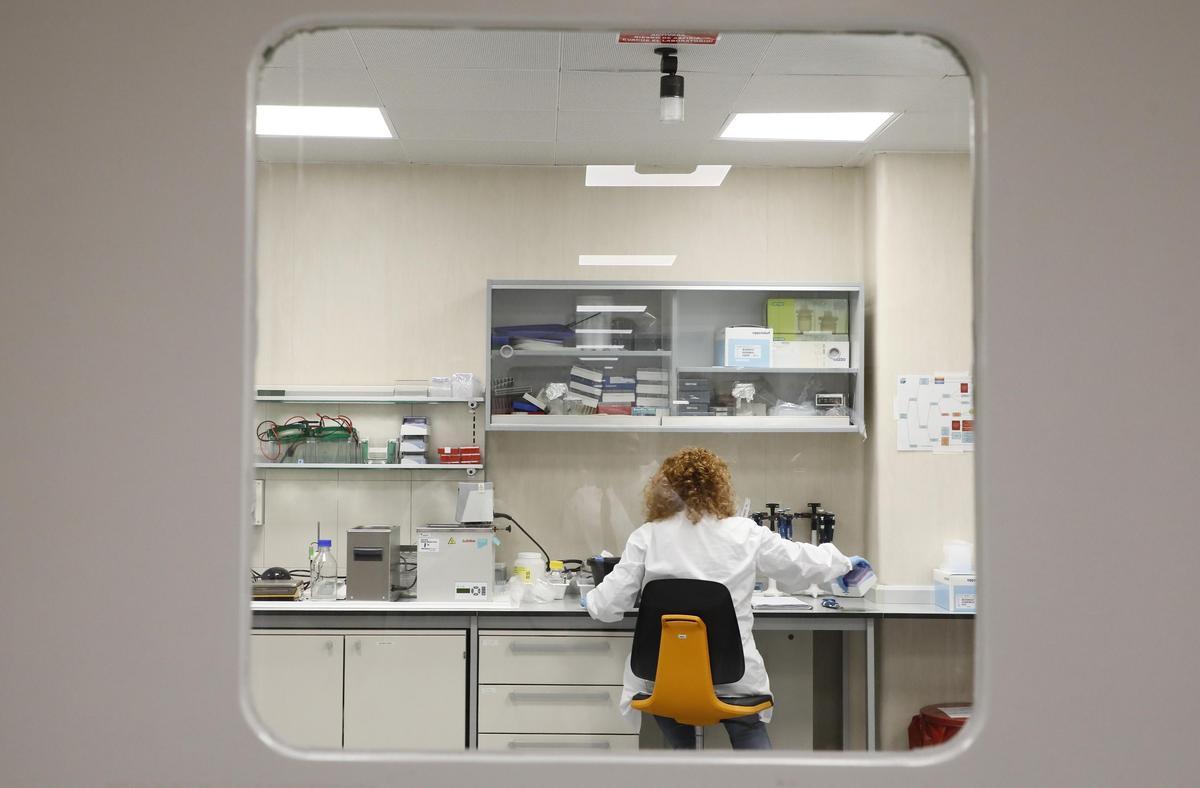 Una investigadora en uno de los laboratorios del centro.