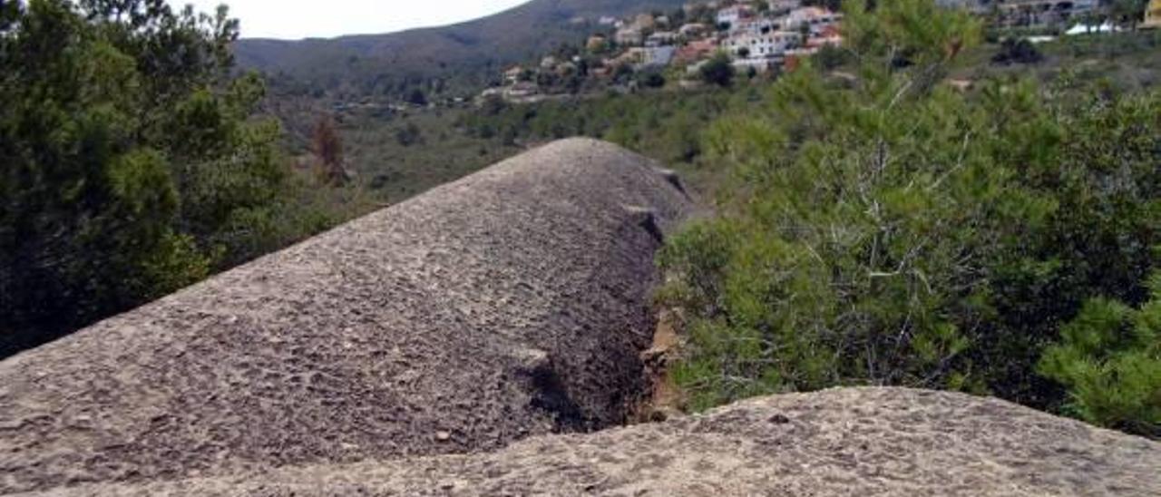 Dénia, en todas las batallas