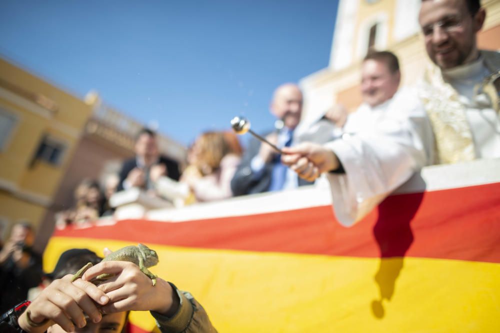 Cartagena celebra San Antón