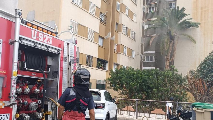 Efectivos de Bomberos de Las Palmas de Gran Canaria sofocan las llamas en una palmera en el Valle de Jinámar