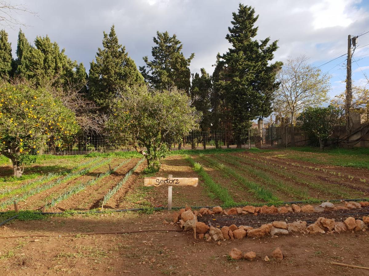 Otra imagen del parque agrario