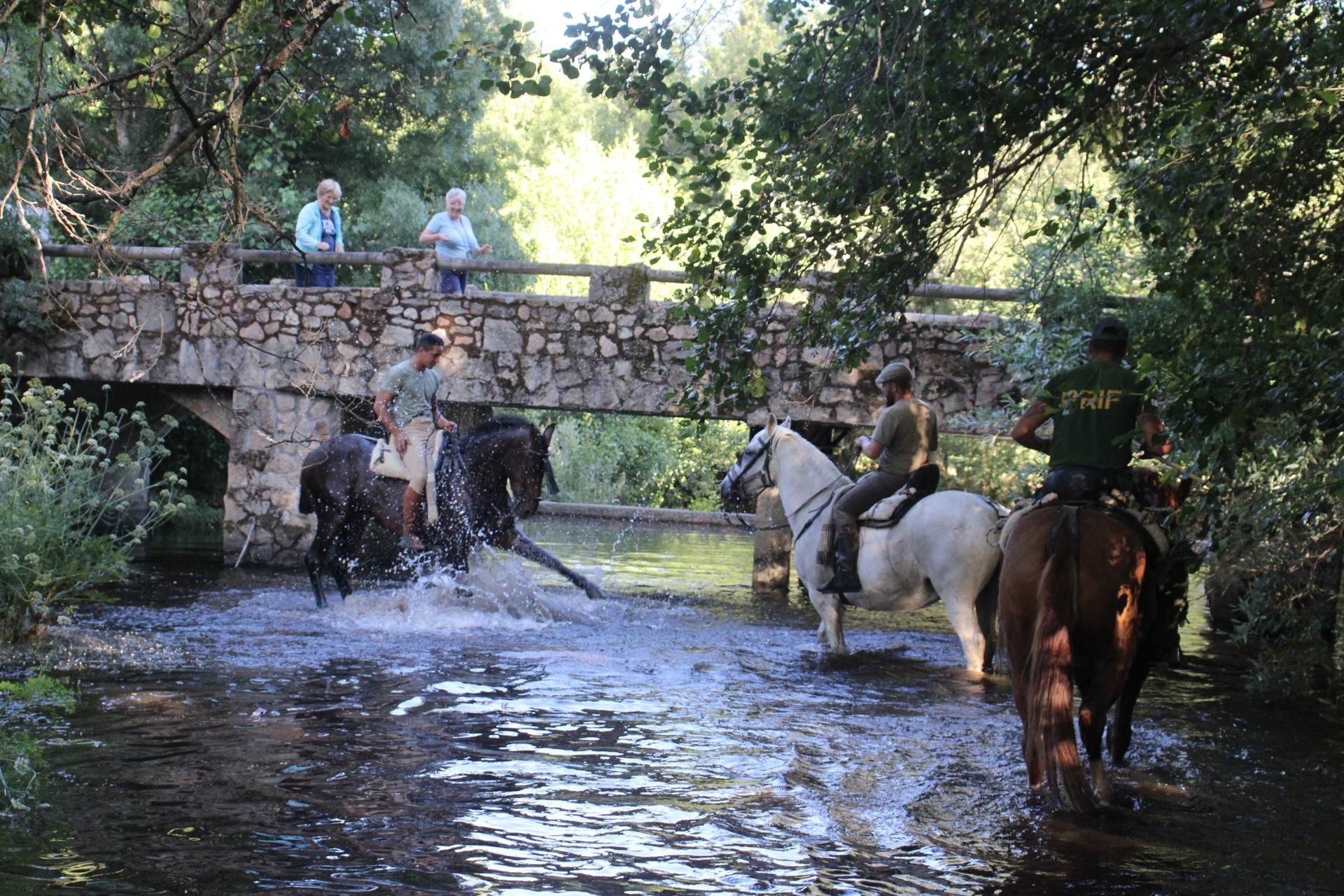GALERÍA | Sanabria revive la transhumancia