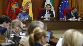 El PP respalda un plan para San Rafael de la Albaida que no incluye asumir el coste del soterramiento de las líneas de alta tensión