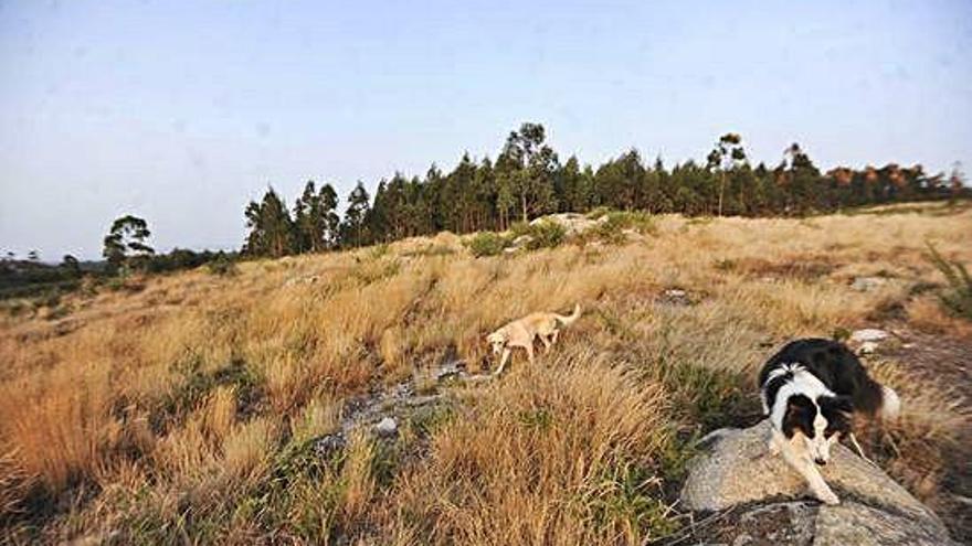 Zona en la que la empresa pretendía construir la planta de residuos industriales.