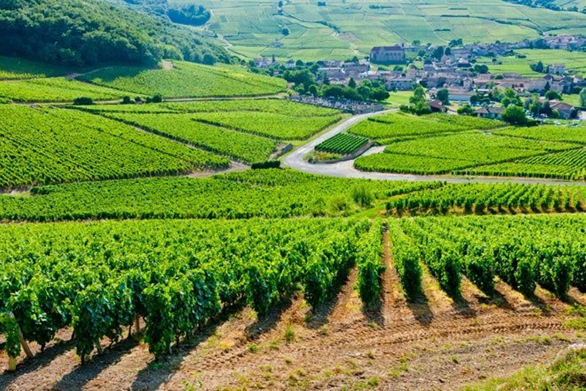 Pagos del viñedo de Borgoña (Francia)