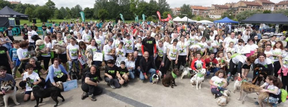 "Can We Run": Deporte, perros y solidaridad toman Gijón