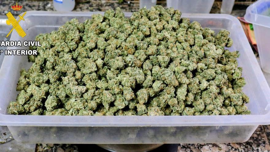 Desarticulan un grupo criminal dedicado al cultivo indoor de plantas de cannabis en Tenerife