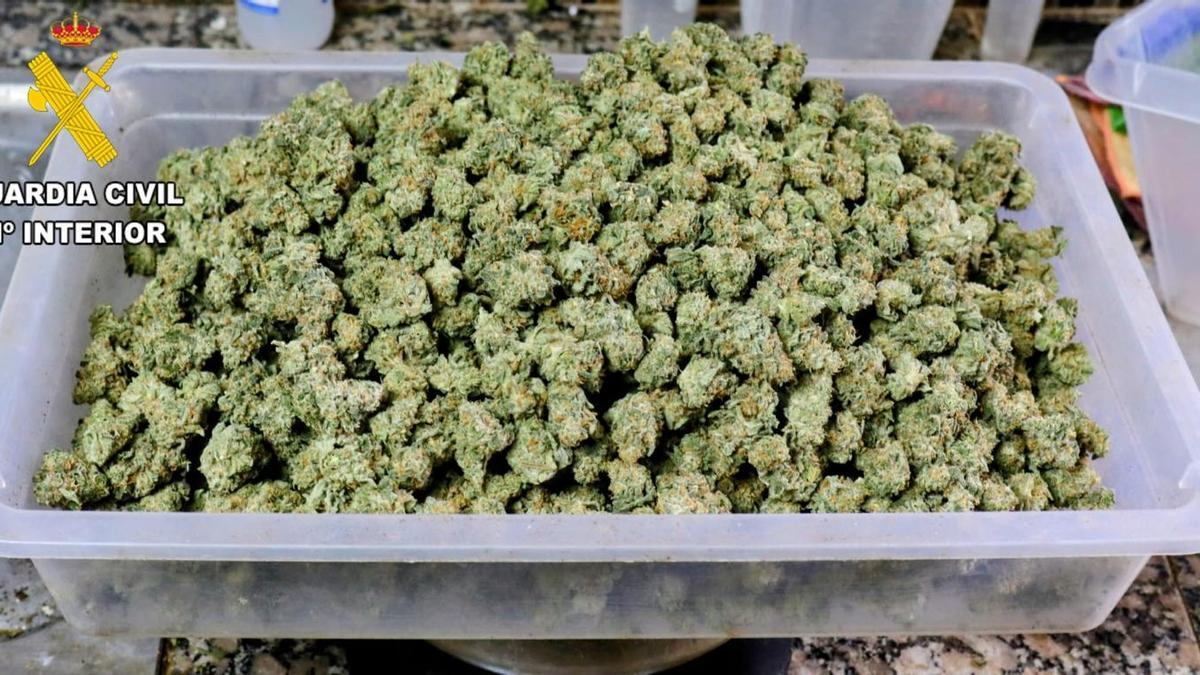 Droga incautada en Tenerife