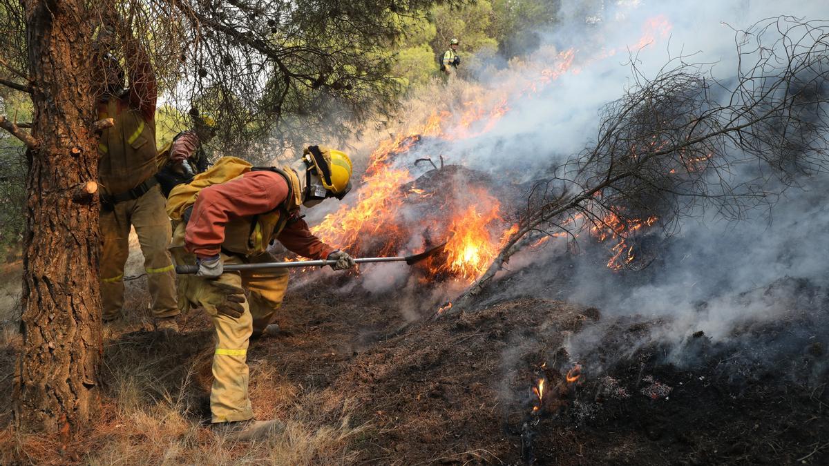 Bomberos forestales luchan contra el incendio de Zaragoza, ayer domingo